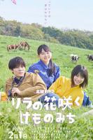 丁香花国语版免费高清版